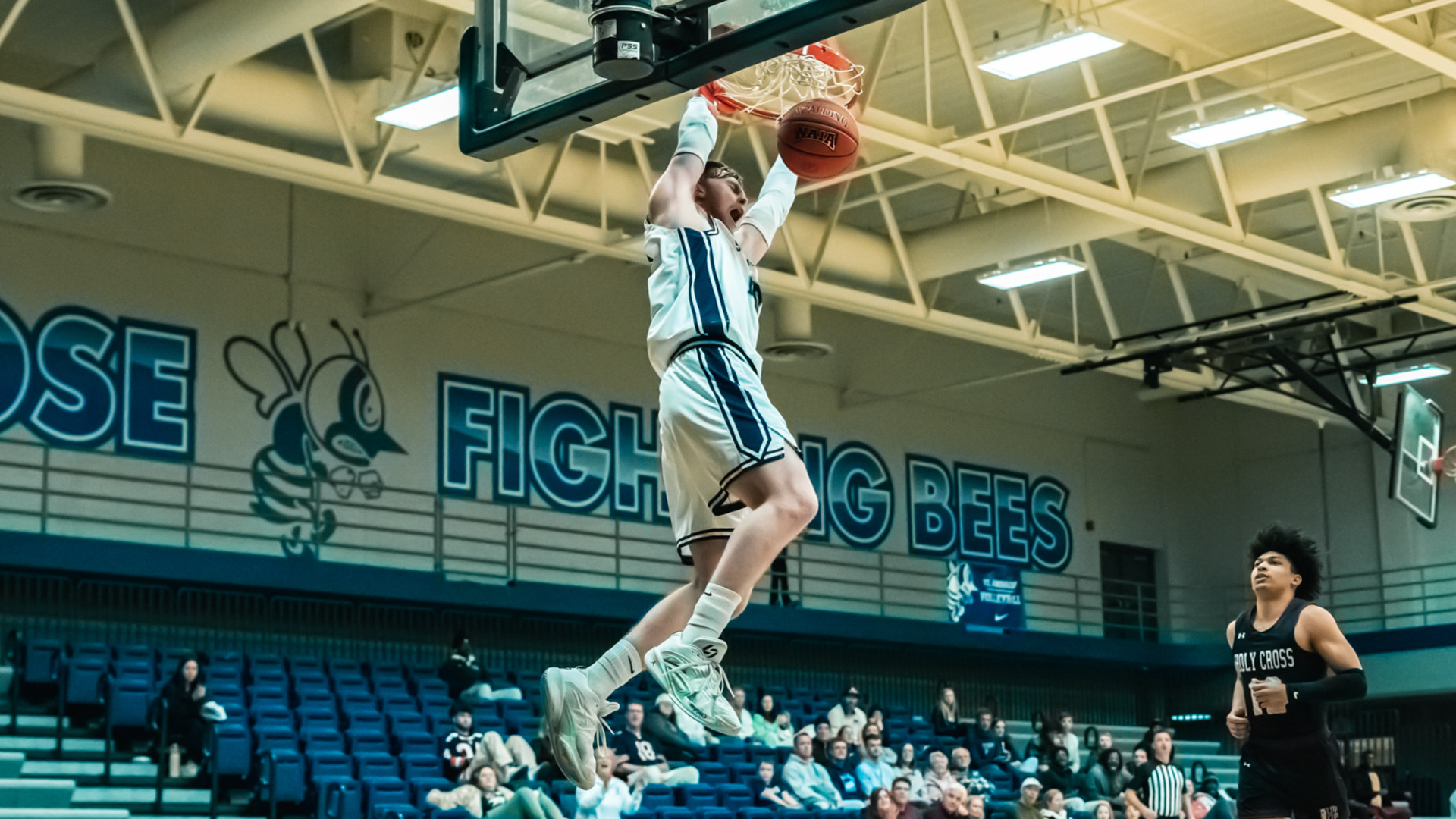 Balanced attack gets St. Ambrose past Holy Cross