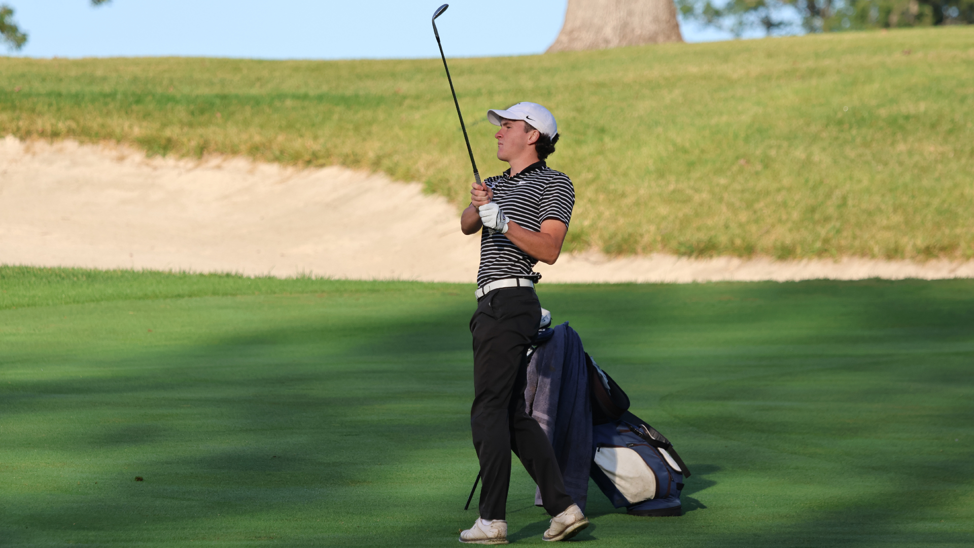 McAleer leads Bees at Central Fall Classic