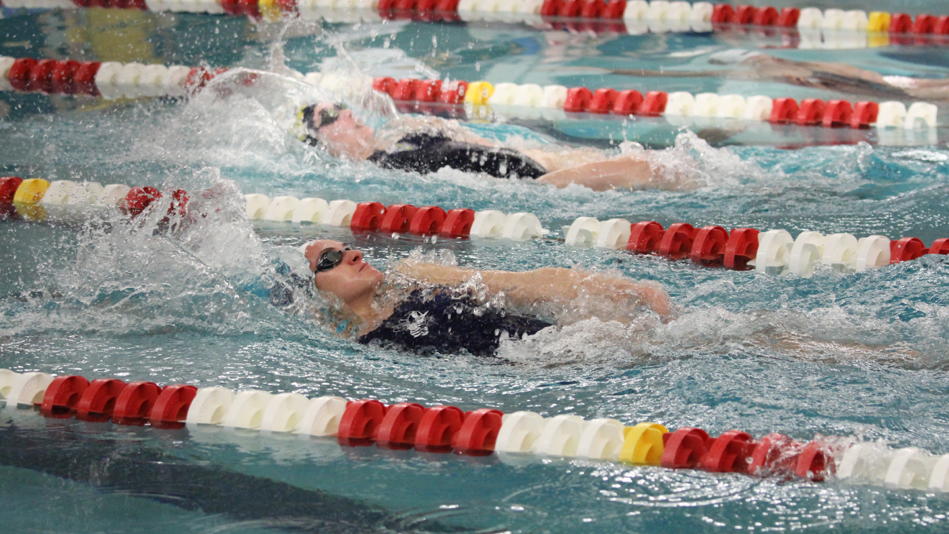 Six Bees recognized on Senior Night