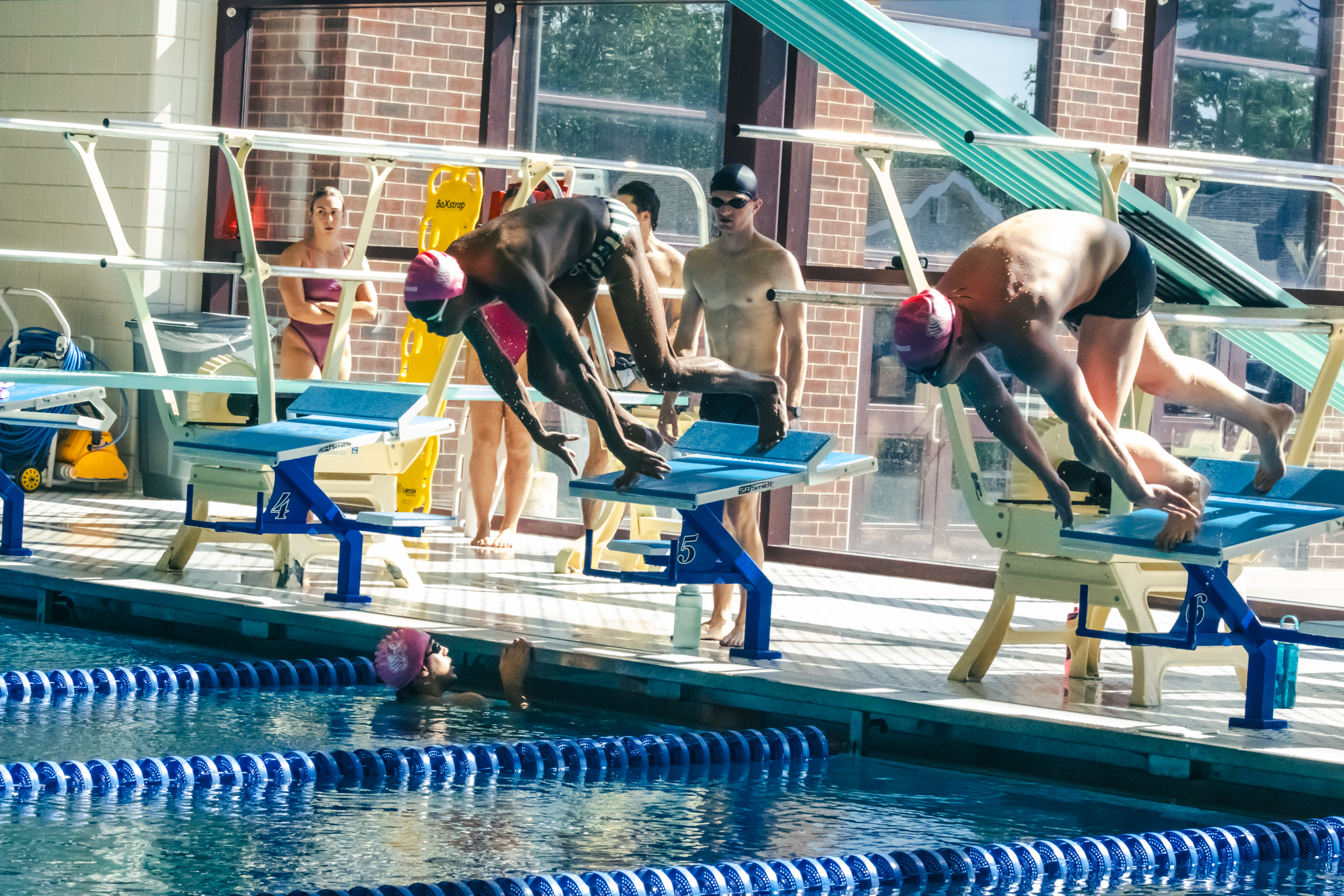 Bees return to the pool at the Grinnell Invitational