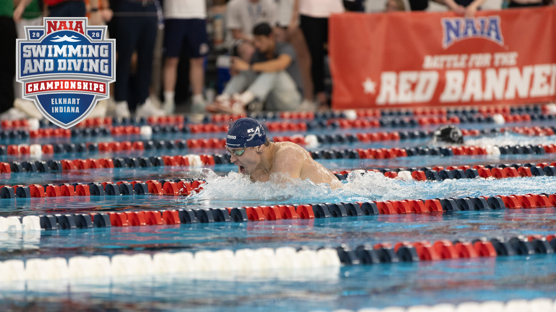 Multiple All-American finishes highlight NAIA Championships