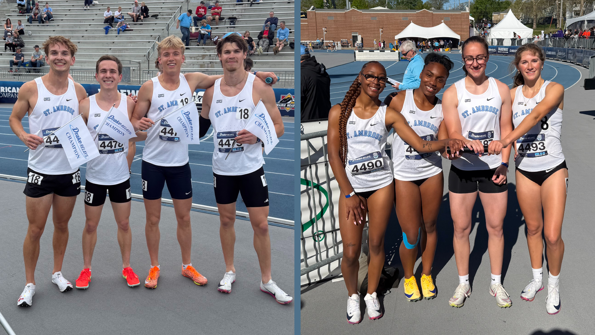 Bees break school records and qualify for nationals