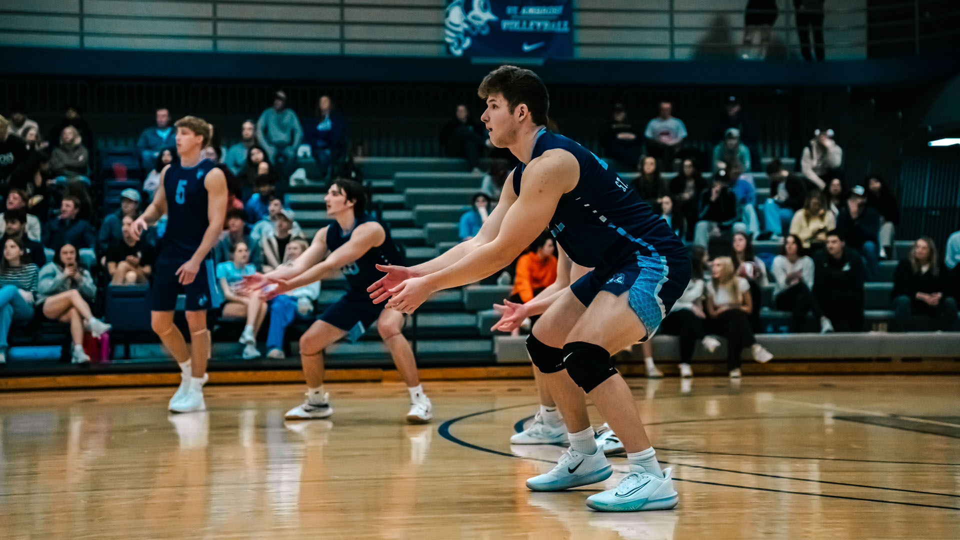 Bees drop rematch to Vikings in four sets