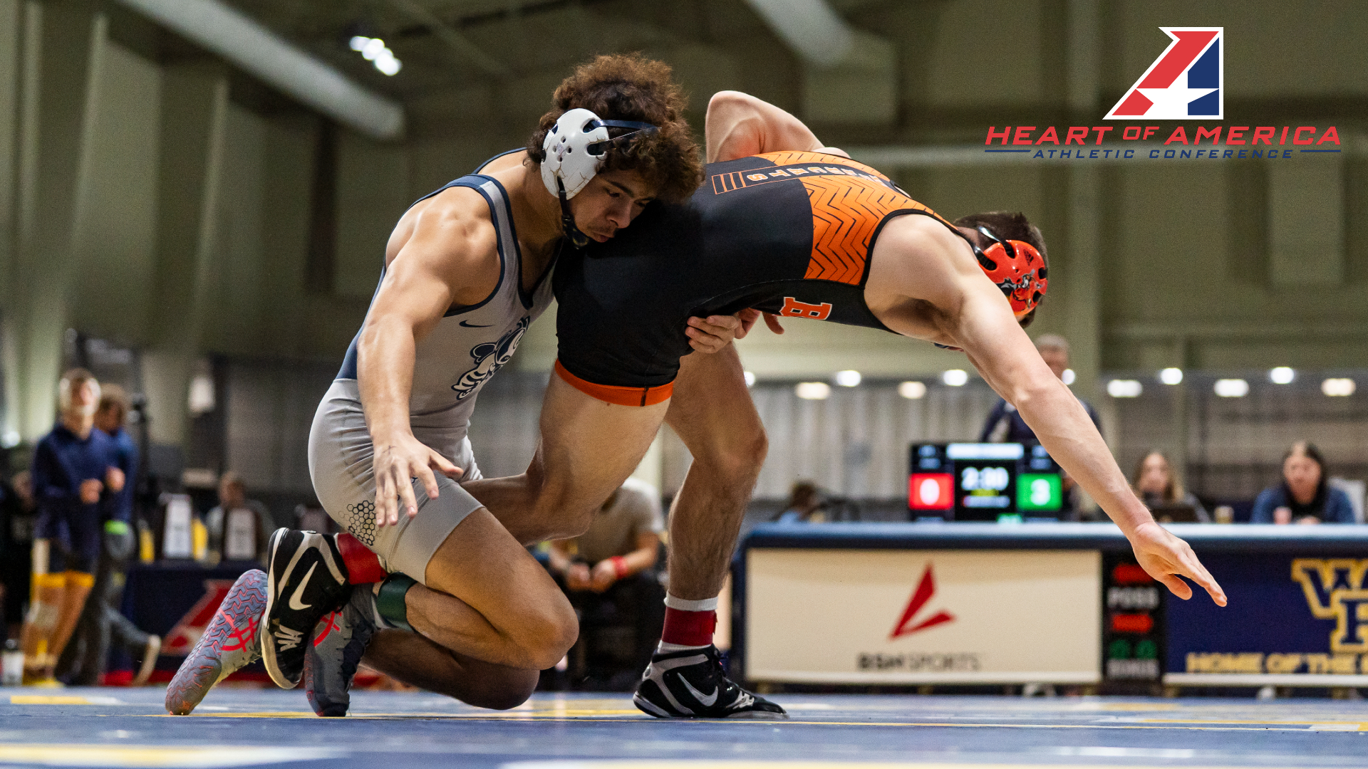 Bees claim five place-winners at Heart Championships