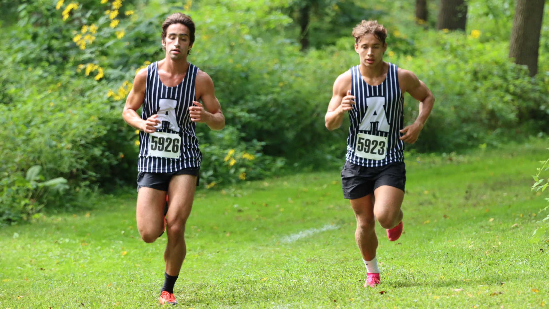 Bees begin season with Intrasquad/Alumni Meet
