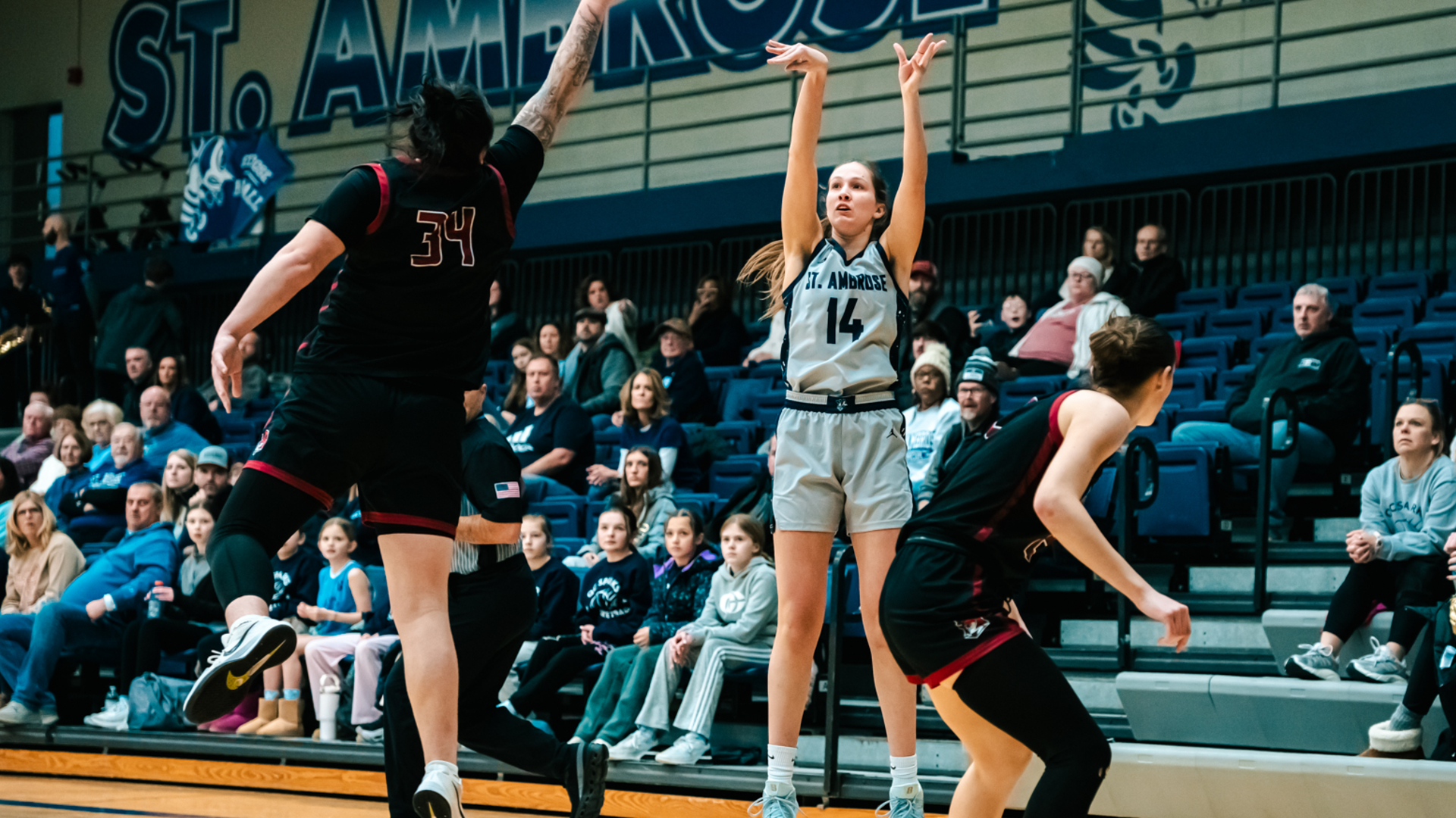 Big nights from Wolter, Thole not enough in loss at GSU