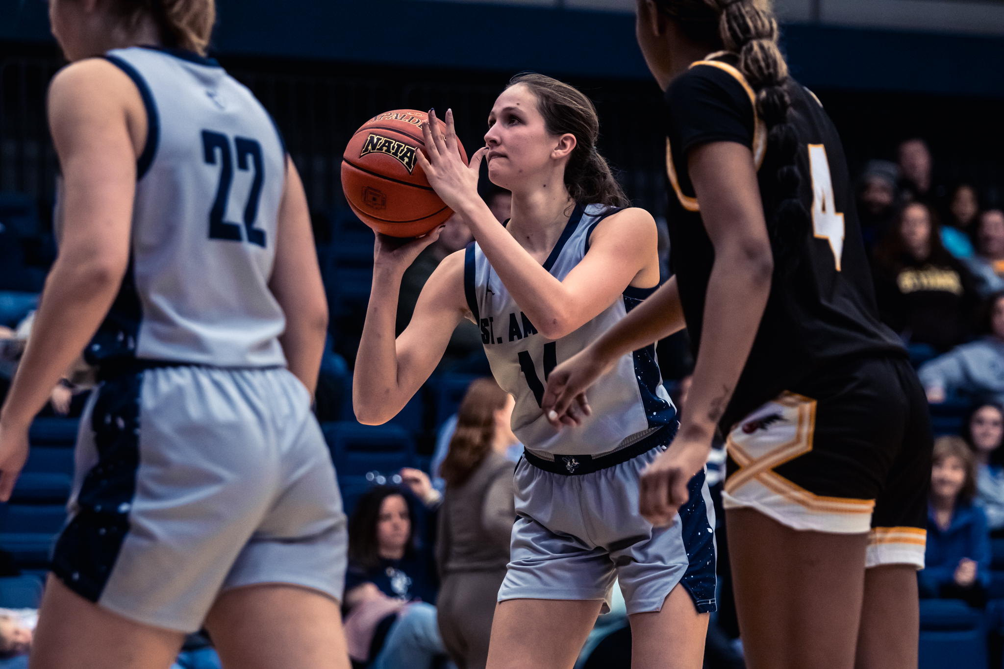 Bees take down Midland 62-48