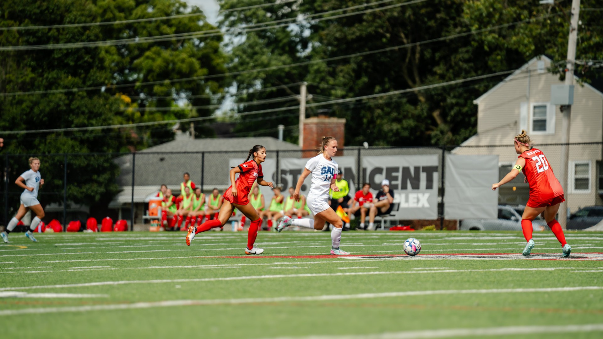 Bees fall 1-0 against the Saints