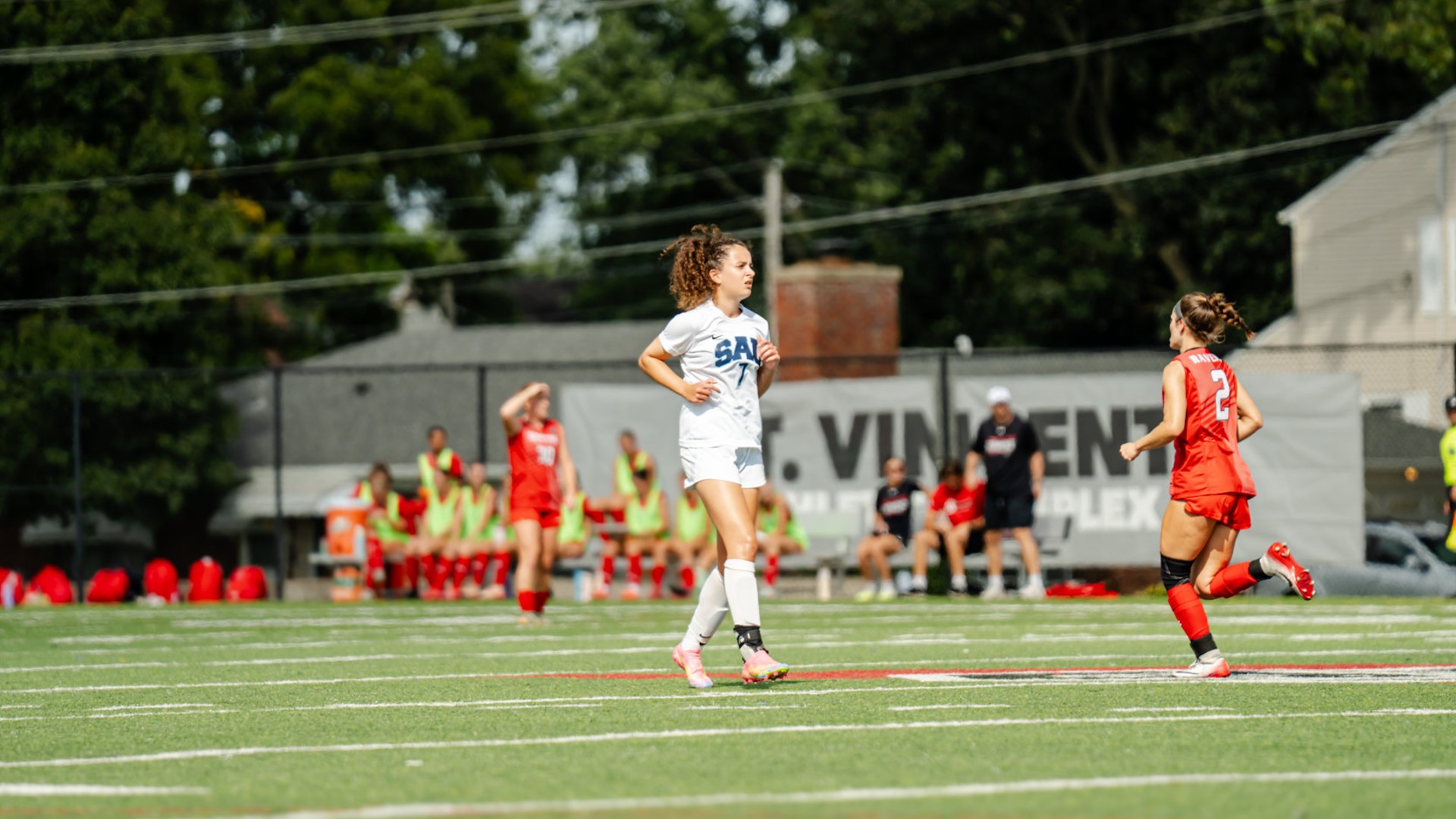 Bees fall in final non-conference game