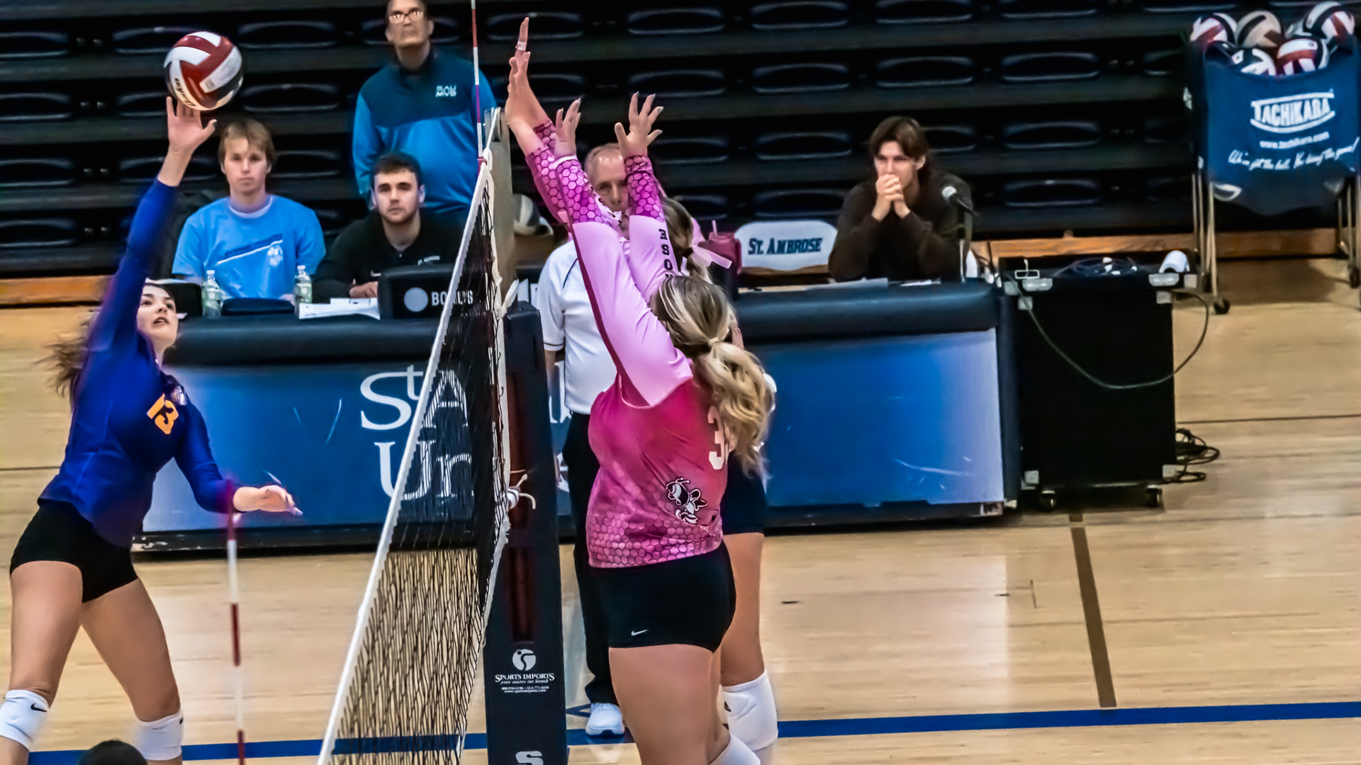 Bees take care of Crimson Wave in three sets