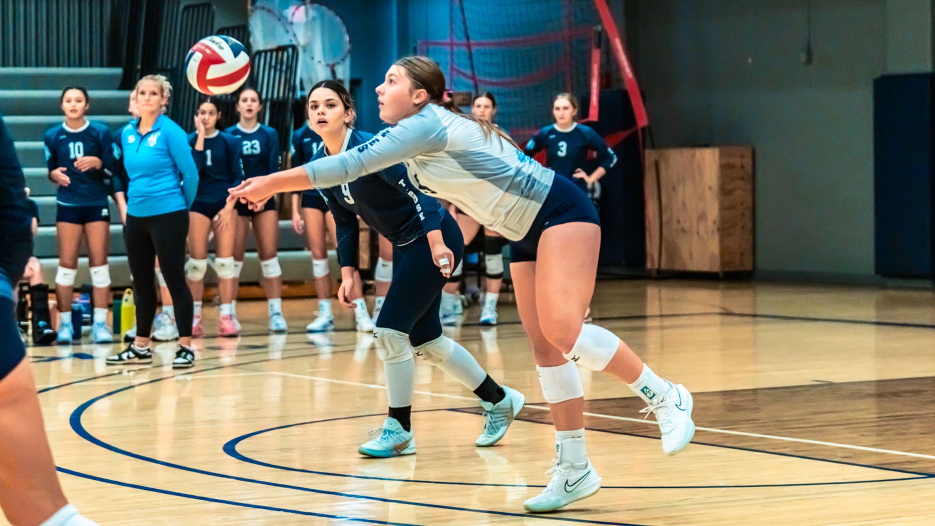 Bees fall in four at Trinity Christian